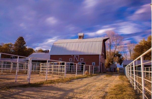 Spomer Ranch Red Barn Bison