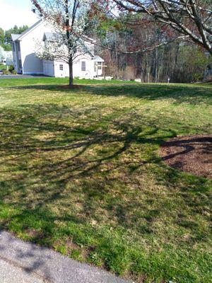 Bedford, NH Lawn Dethatching Service