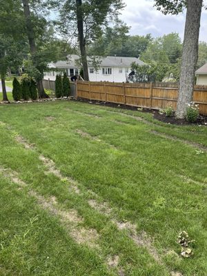 Groundhog Landscaping