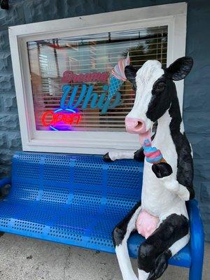 Skinny Cow Outside