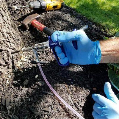 We diagnose and treat tree and plant disorders.