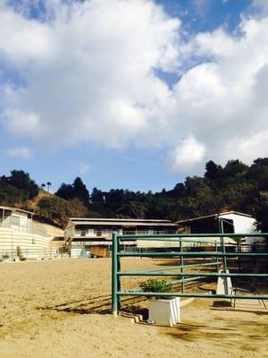 Gorgeous stables and practice arena