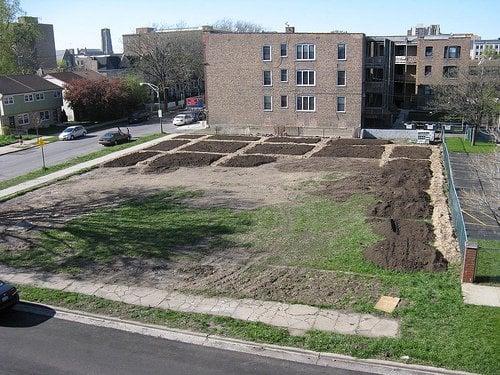 Garden being built - April 2010