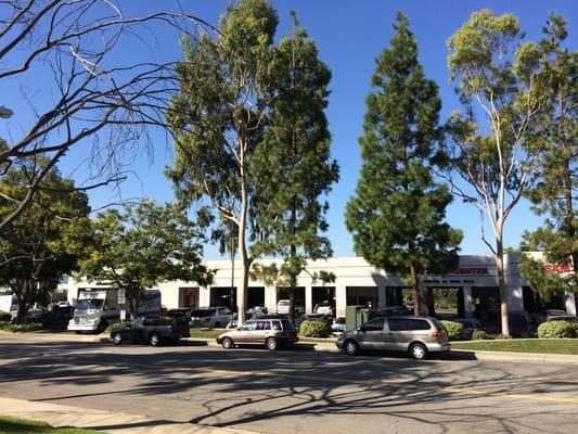 The auto complex surrounded by huge trees