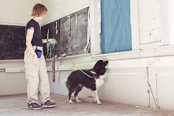 Rio bed bug dog inspection