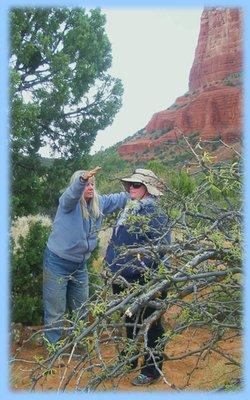 Healing at a Sedona Vortex