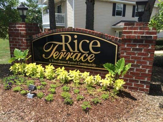 Rice Terrace Townhomes and Apartments