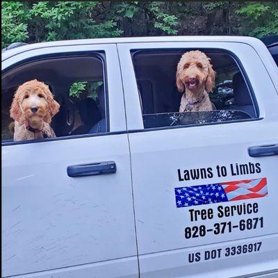 Lawns to Limbs Tree and Crane Services 