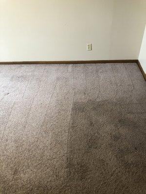 We can make your carpet this clean