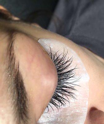 Classic whispy lash