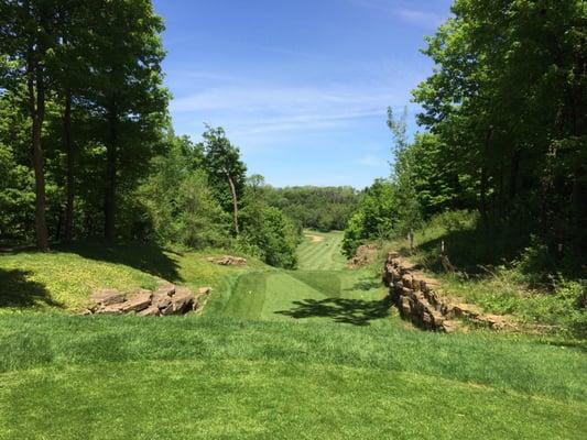 #13 hole - The Summit at Canon Falls.