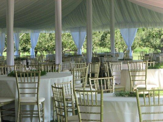 Wedding Tent w/ Liner and Pole drapes,