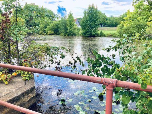 Waltman Park -- pond at the side of Maurice River