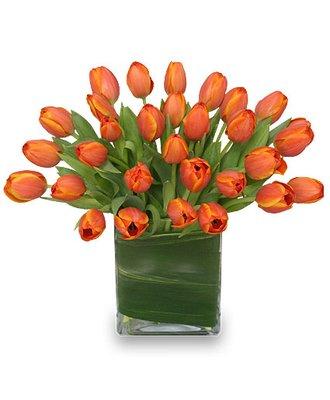 Tulips are our favorite !