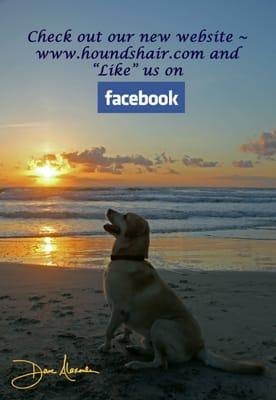 Like us on Facebook!