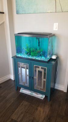 20 Gallon Monthly  Freshwater Aquarium Maintenance.