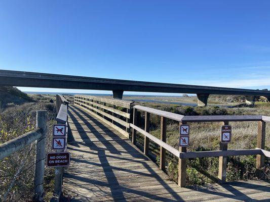 Walk way from the campground goes under PCH right to the beach.