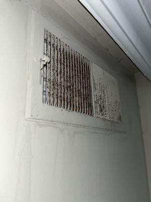 Mold in the vents.