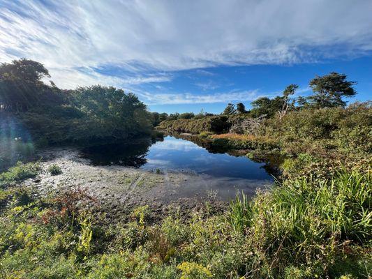 Nantucket pond