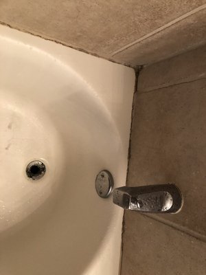 Mold in and around shower