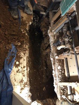 Broken drains under slab leaking sewage