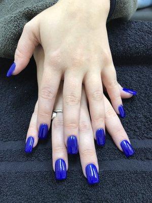 Beautiful royal blue