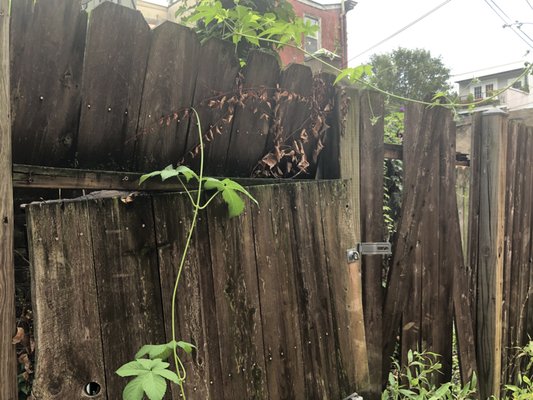 American Discount Fence