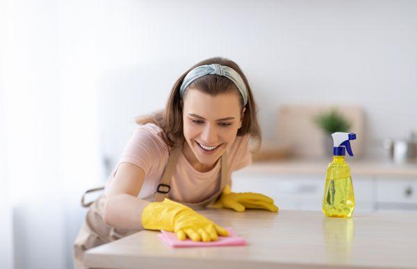 Pristine Cleaner Services