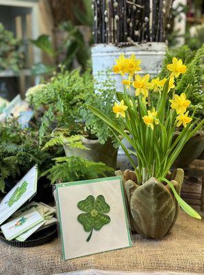 Spring bulb plants and gifts, greeting cards, etc!