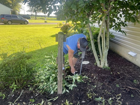 Frank taking care to avoid utilities and damage to existing landscape.