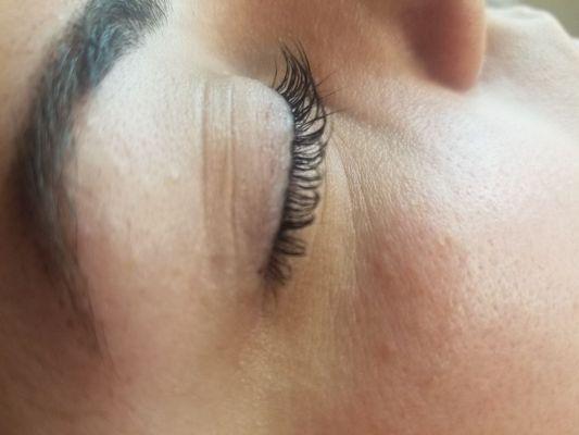 LashLift & Lash Tint