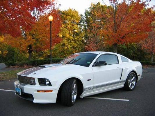 A beautiful Ford Mustang under some pretty fall color.