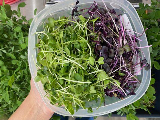 Microgreens CSA/Farm Share