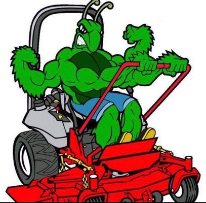 We can take care of any of your lawn care need's!!!