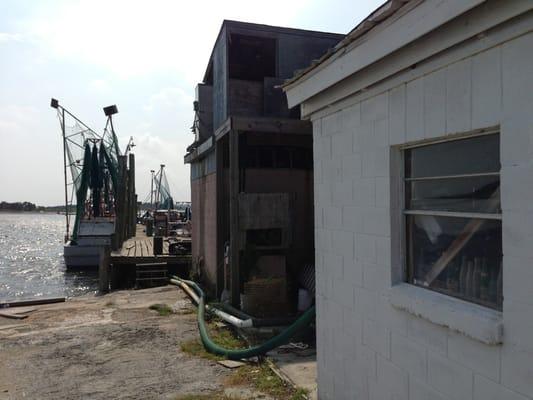 The dock behind the market.