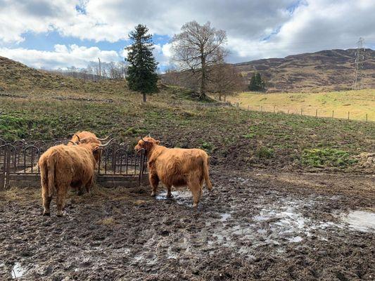 Highlands, Scotland