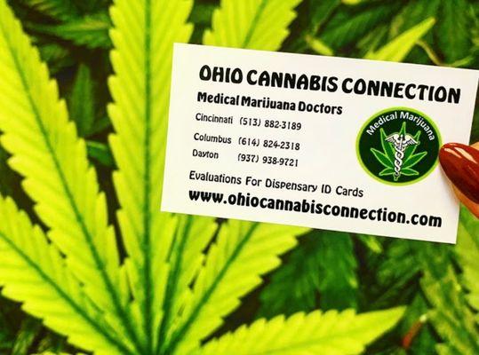 Ohio Cannabis Connections