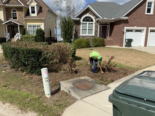 An "after" picture if the overgrown shrubs.