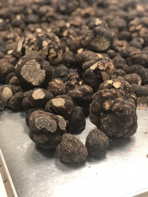 Fresh Black Winter Truffles