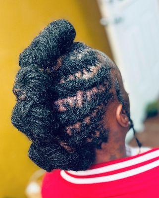 Braidlocs Retightening & Style