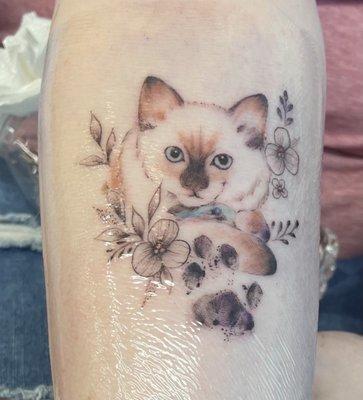 Memorial piece for my kitten, Merlin, who died at 7 months old from lymphoma. We miss him desperately. Also by Kato Green.