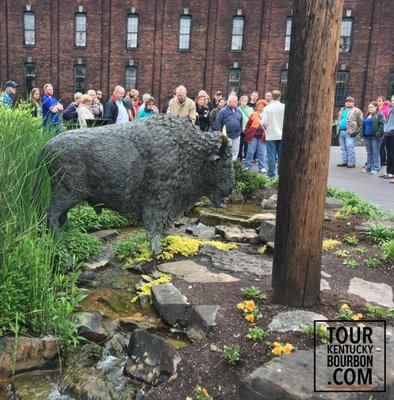 @ Buffalo Trace