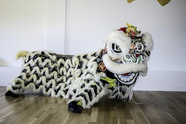 Offering exciting demonstrations of traditional lion dance, kung fu, and tai chi