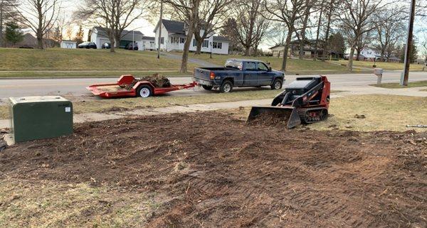 Removal of mulch bed to make grass.