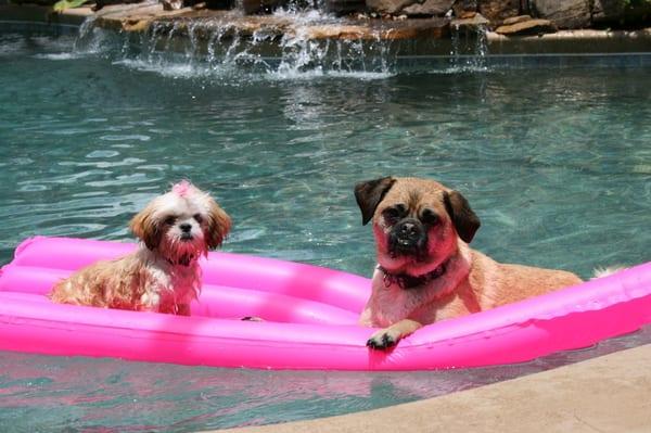 Chillin' at Plantation's Pool