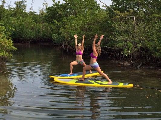 Paddle Boarding Palm Beach