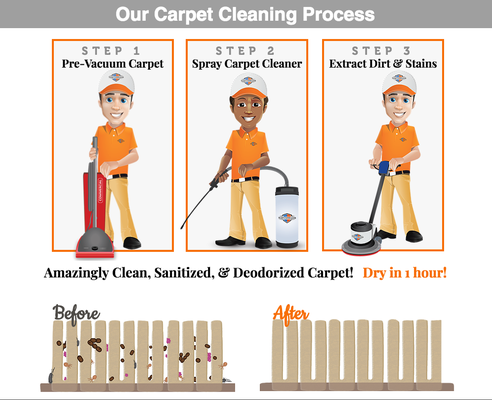 Our carpet cleaning process will have you glad you hired us! Visit Us: https://www.teameverclean.com/carpet-cleaning