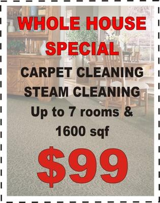 Special Carpet Cleaning