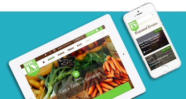 Website design for DigIn VT.