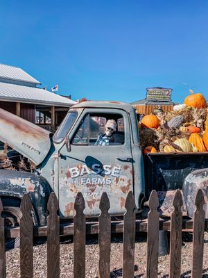 Basse's Taste of Country Farmers Market